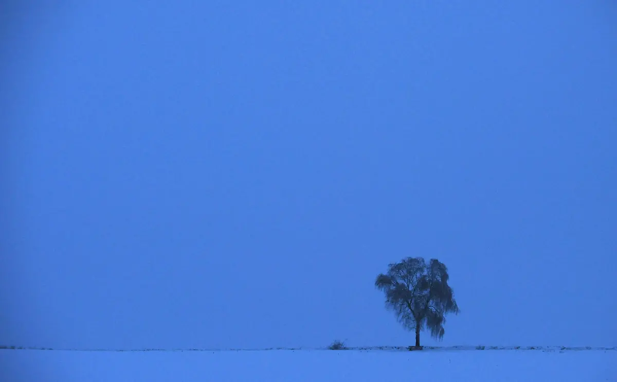 2ogy3939-jpg1441321714617597106