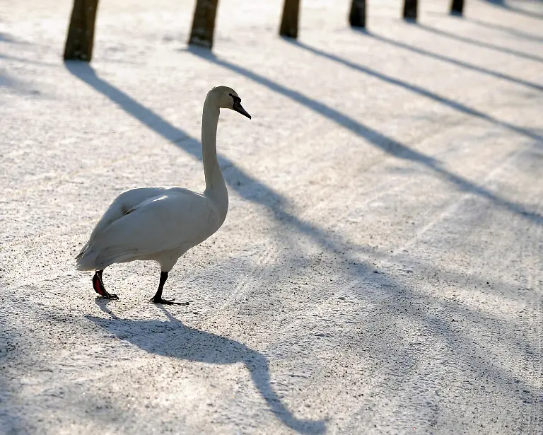 2oh02007-jpg2270712843829667519