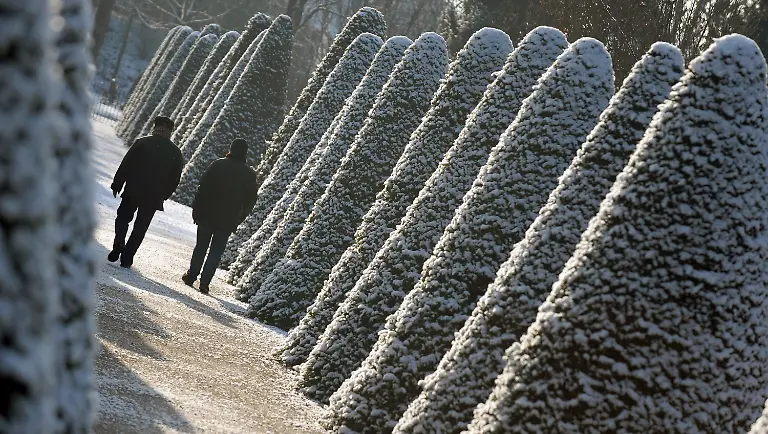 2oh02421-jpg3657337398614059895