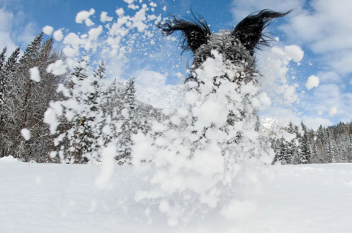 Oesterreich-Wetter-XKJ102-jpg6683897094165263411