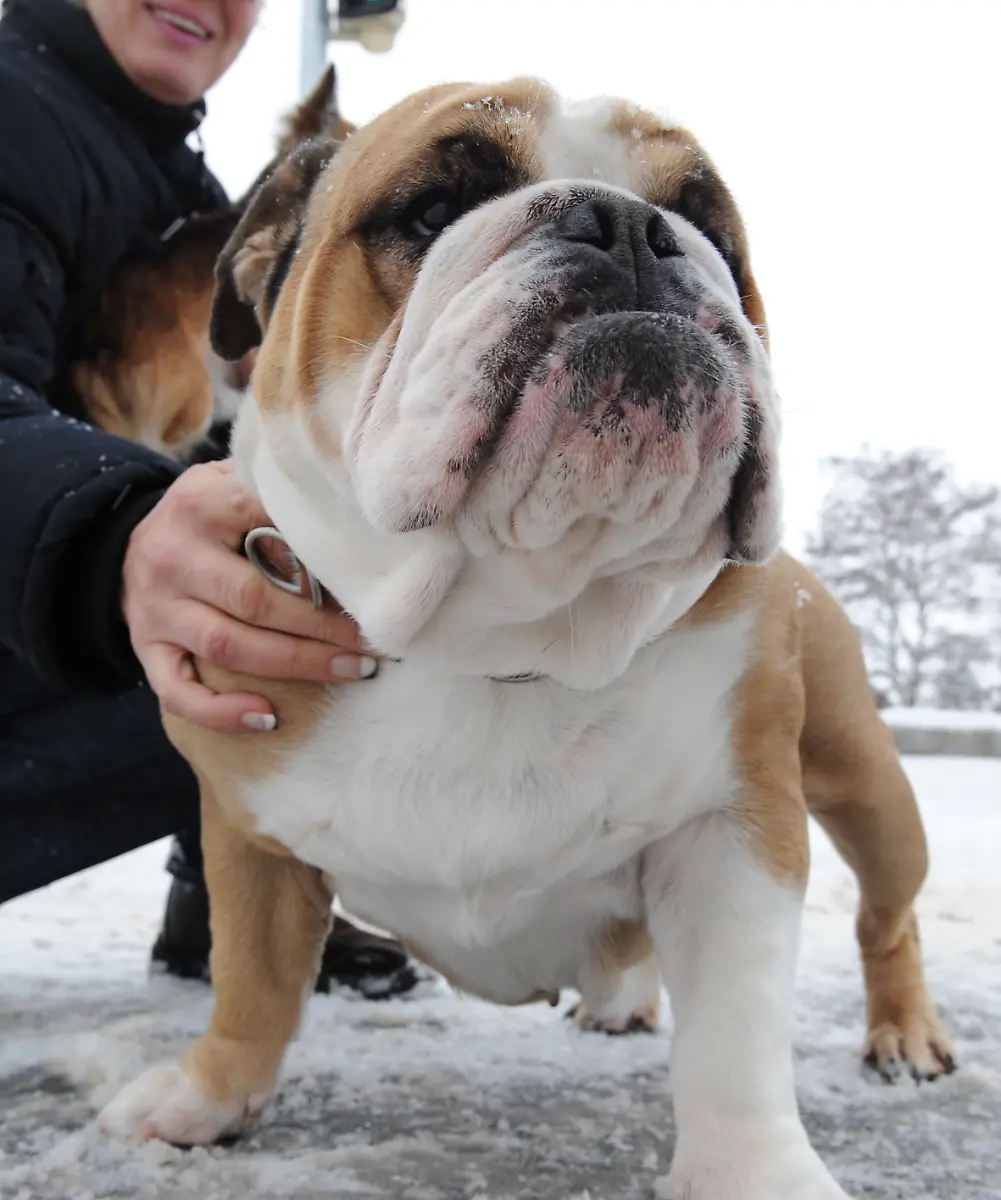 2ohp1417-jpg1265054259914484122