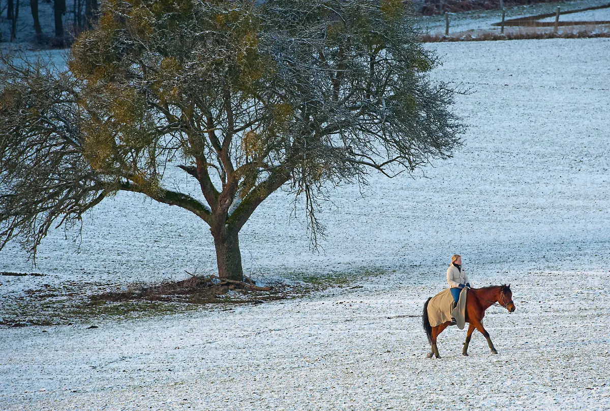 2ohp0335-jpg2332223391082162471