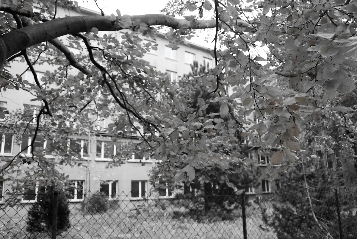 Ruegen-2009-11-01-15-03-48