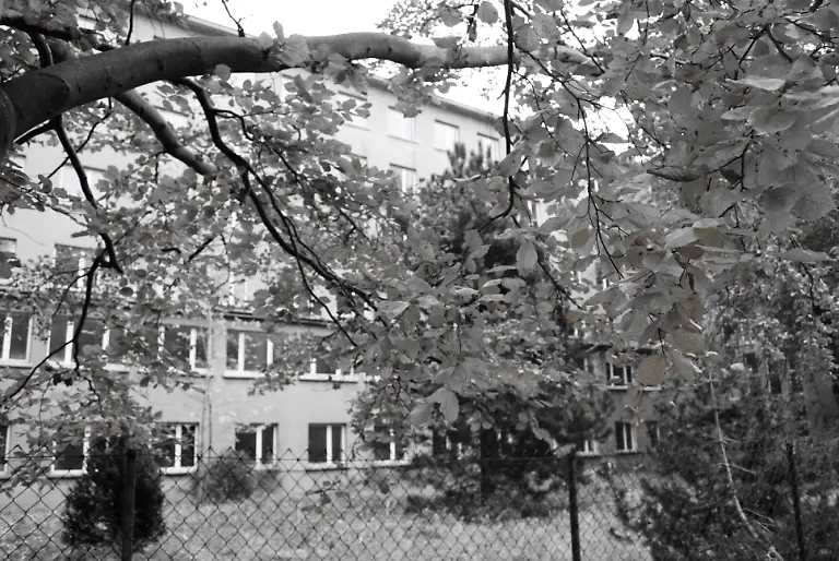 Ruegen-2009-11-01-15-03-48