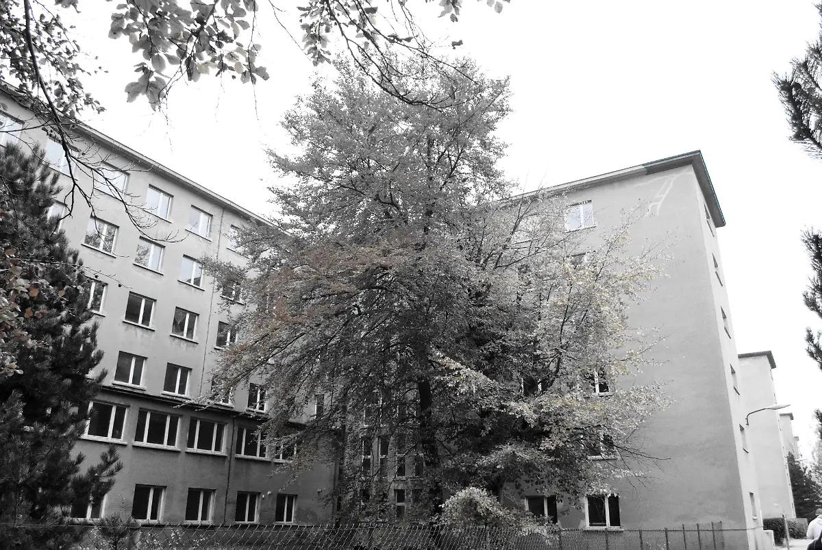 Ruegen-2009-11-01-15-04-24