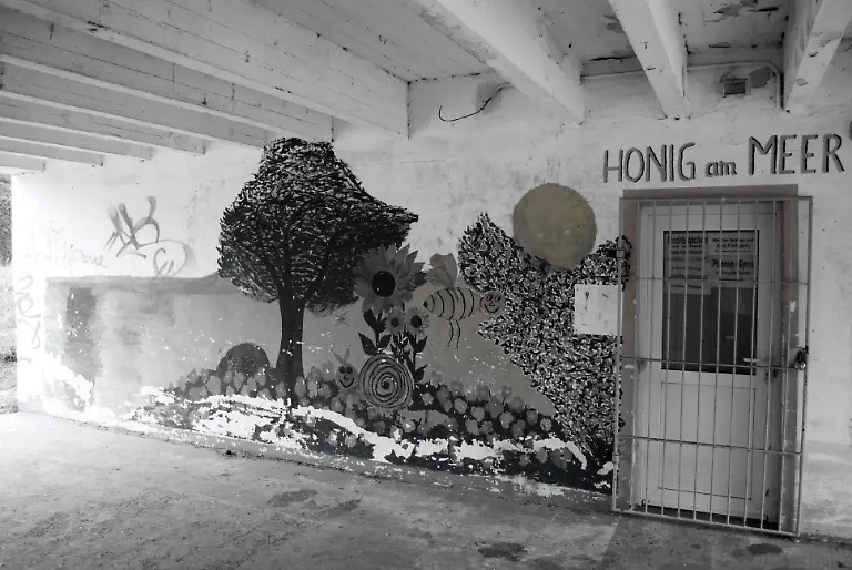 Ruegen-2009-11-01-15-07-22