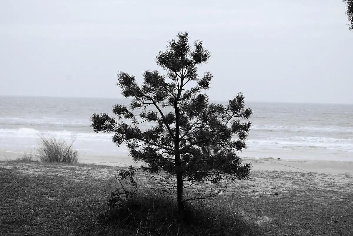 Ruegen-2009-11-01-15-17-42