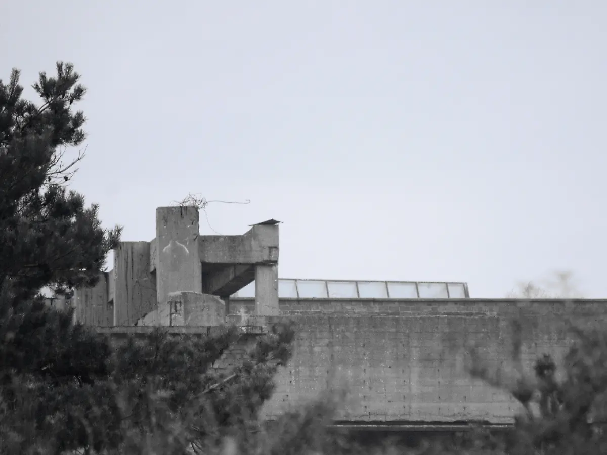 Ruegen-2009-11-01-15-33-00