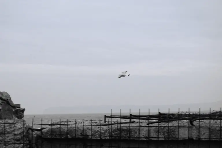 Ruegen-2009-11-01-15-36-36