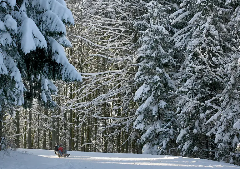 2o8o1202-jpg6680767011905682021