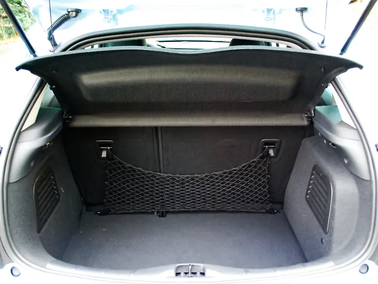 Citroen-C3-2009-12-12-11-21-05-1