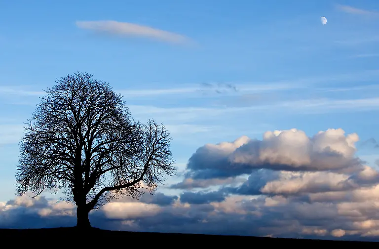 2nto1040-jpg3582496610276840250