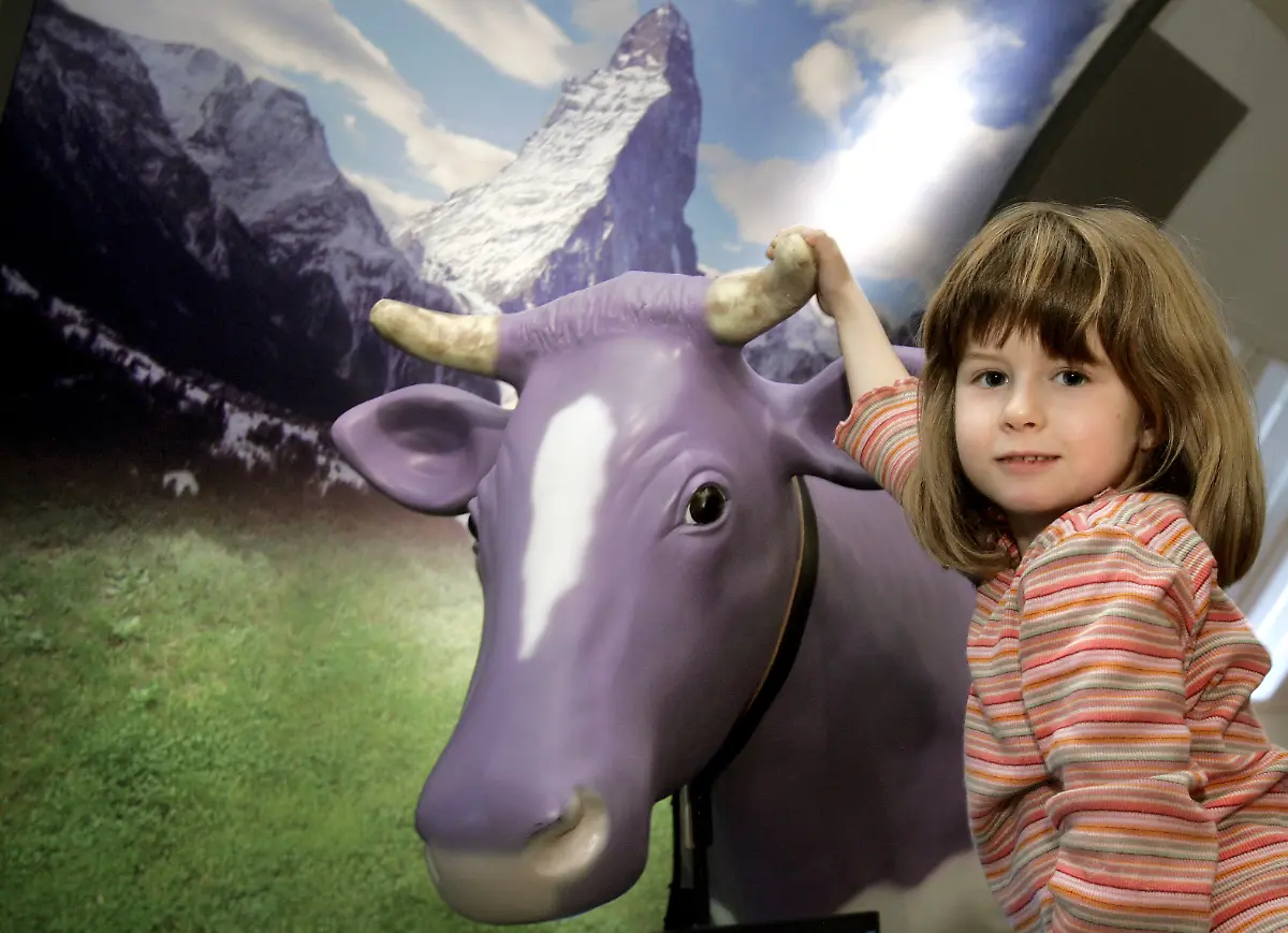 lila-kuh-irrtum-lila-kuh