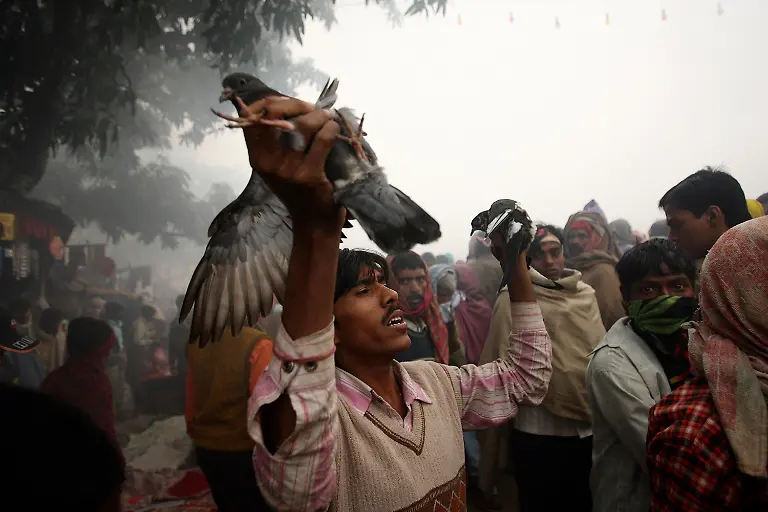 NEP04-NEPAL-1124-11-JPG6999713056938440860