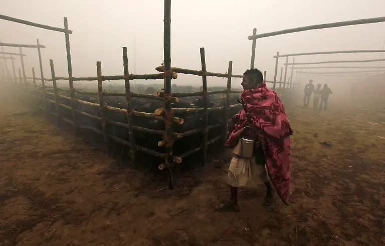 Nepal-Animal-Sacrifice-DEL178-jpg1792855694872526966