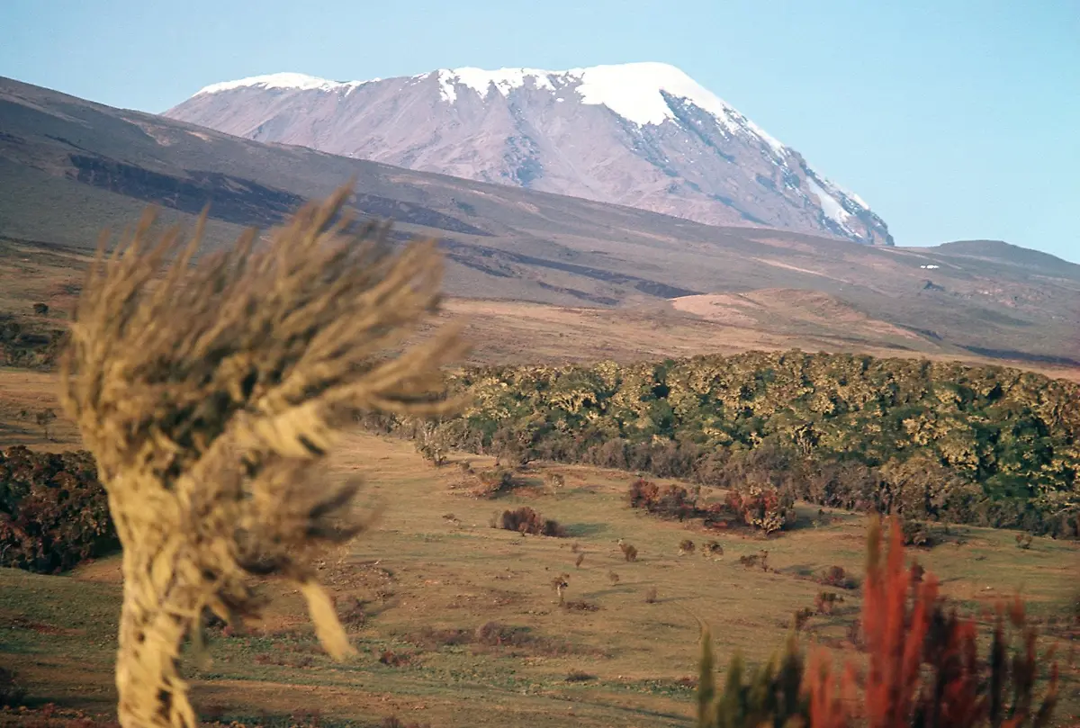 Suedwesthang-des-Kilimandscharos-mit-dem-schneebedeckten-Kibo-Gipfel