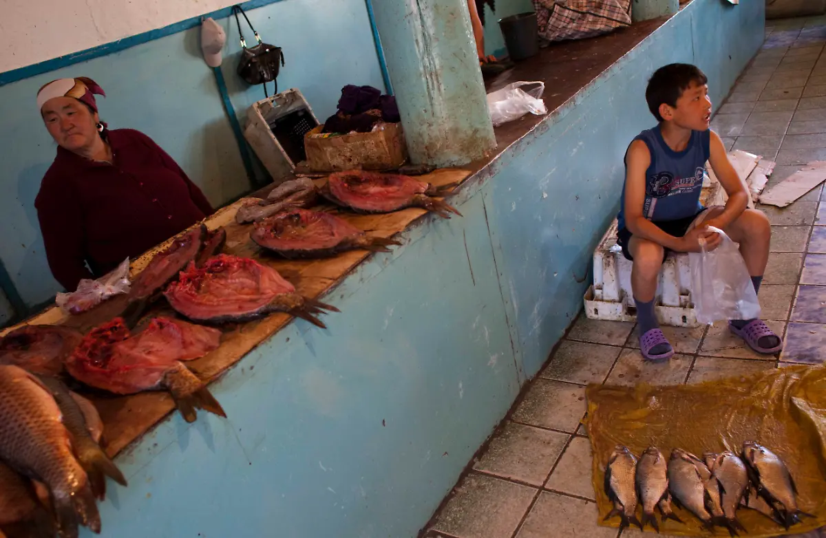 Central-Asia-Reappearing-Sea-NY420-jpg3857000709212481753