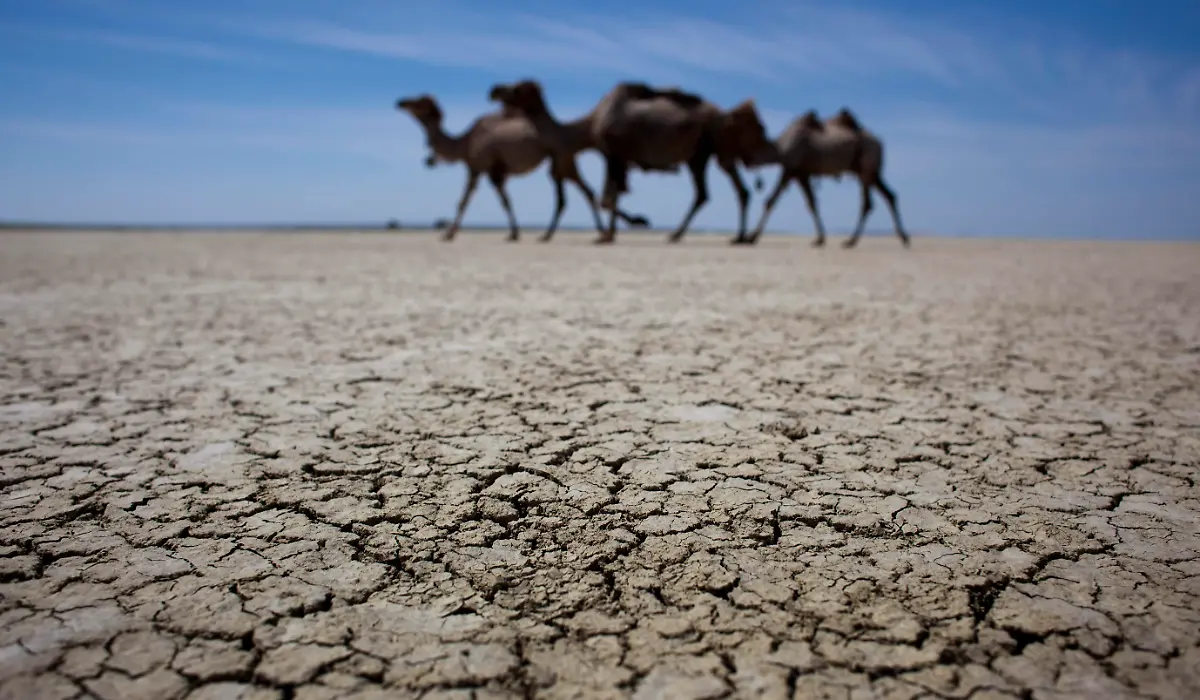 Central-Asia-Reappearing-Sea-NY424-jpg6152458869575927352