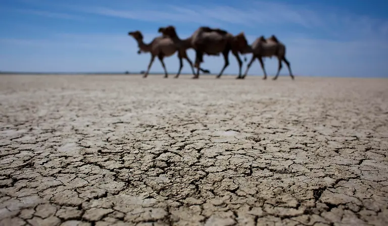 Central-Asia-Reappearing-Sea-NY424-jpg6152458869575927352