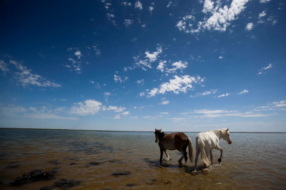 Central-Asia-Reappearing-Sea-NY423-jpg4034258108270414018