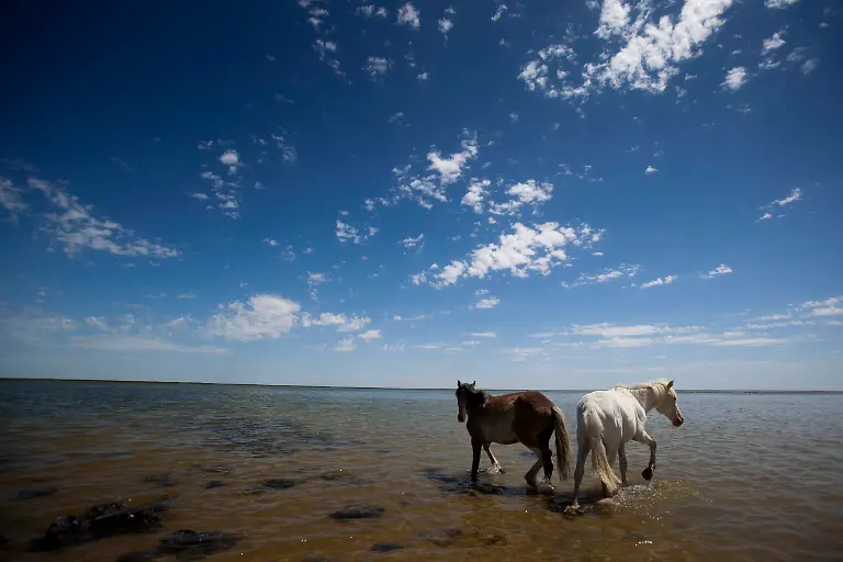 Central-Asia-Reappearing-Sea-NY423-jpg4034258108270414018