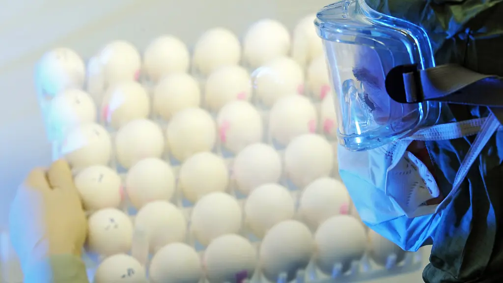 2n294424-jpg5414041745671603492