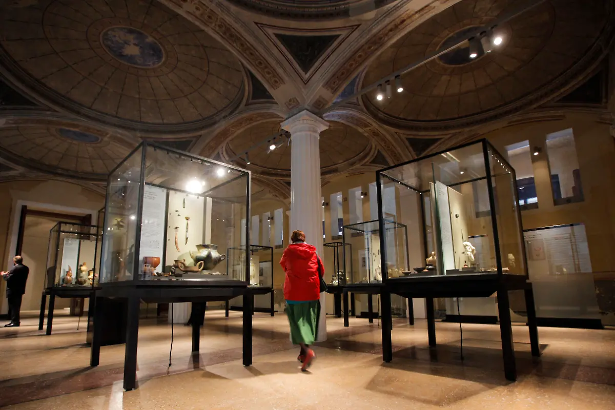 DEU-BB-Neues-Museum-MSC116-jpg2917784533166189652