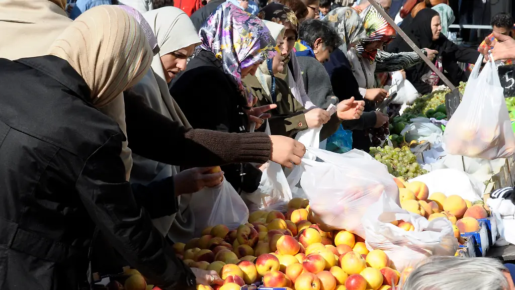 Oesterreich-Auslaender-Integration-XPZ101-jpg2390499025400013210