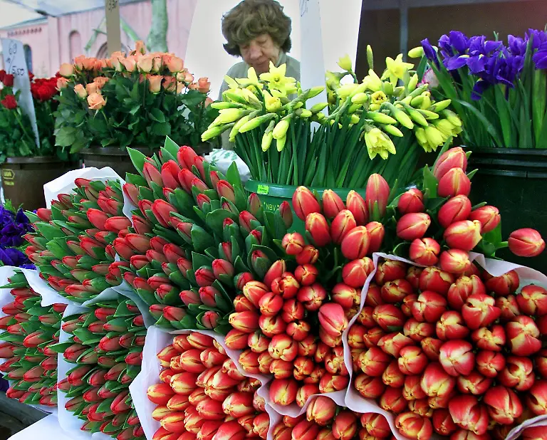 blumen-2