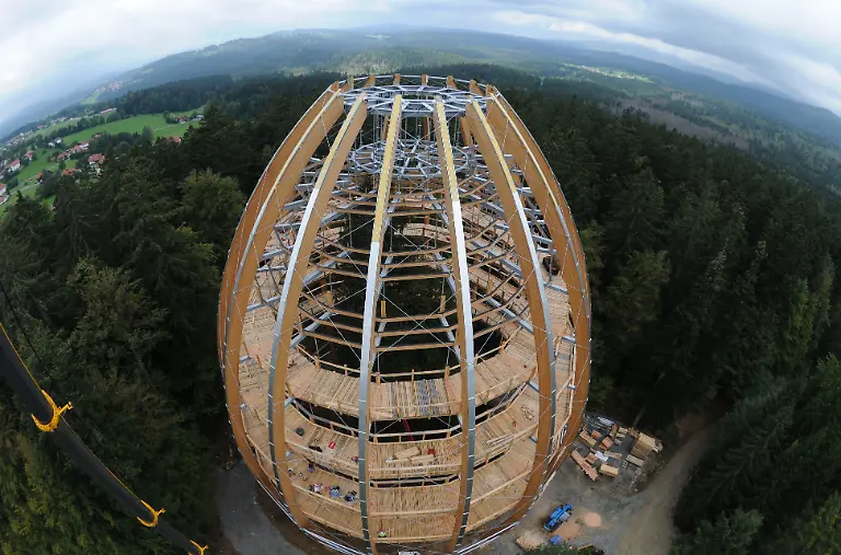baumwipfelpfad-turm-panorama