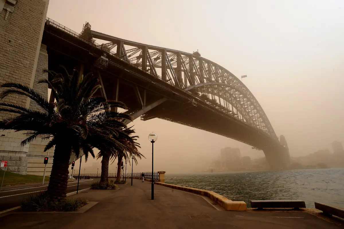 2mk81303-jpg5765333293499542101