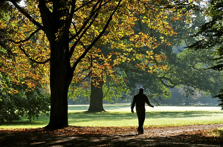 2maa0903-jpg370389391632409283