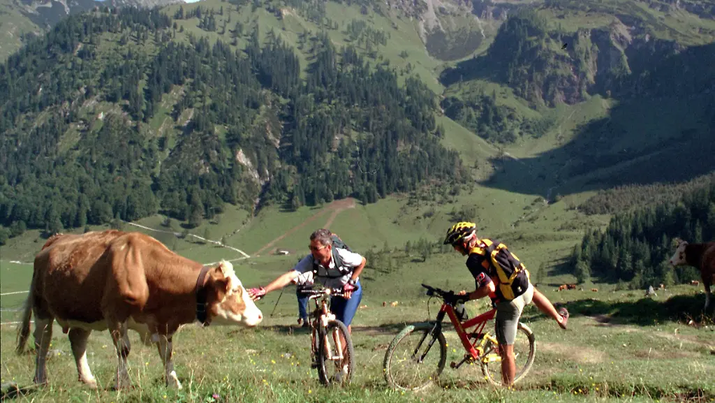 Mountainbiker-tirol