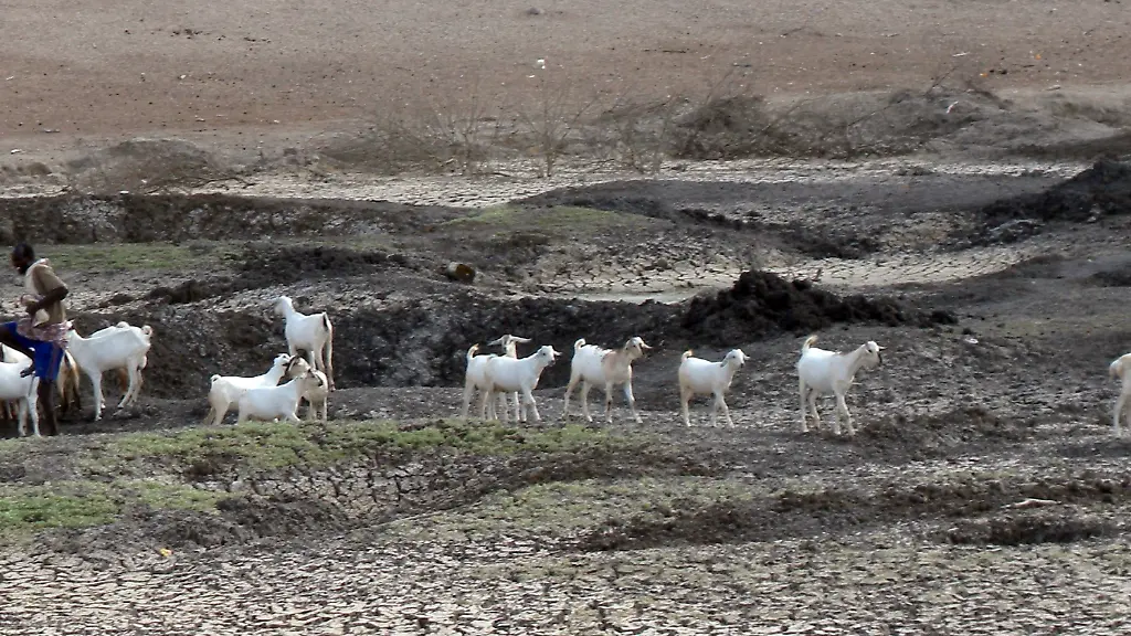 2m7h0122-jpg453576158497862481