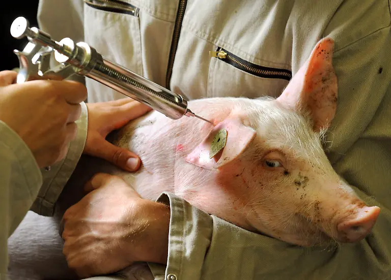 2m2t0139-jpg8917854316175308292