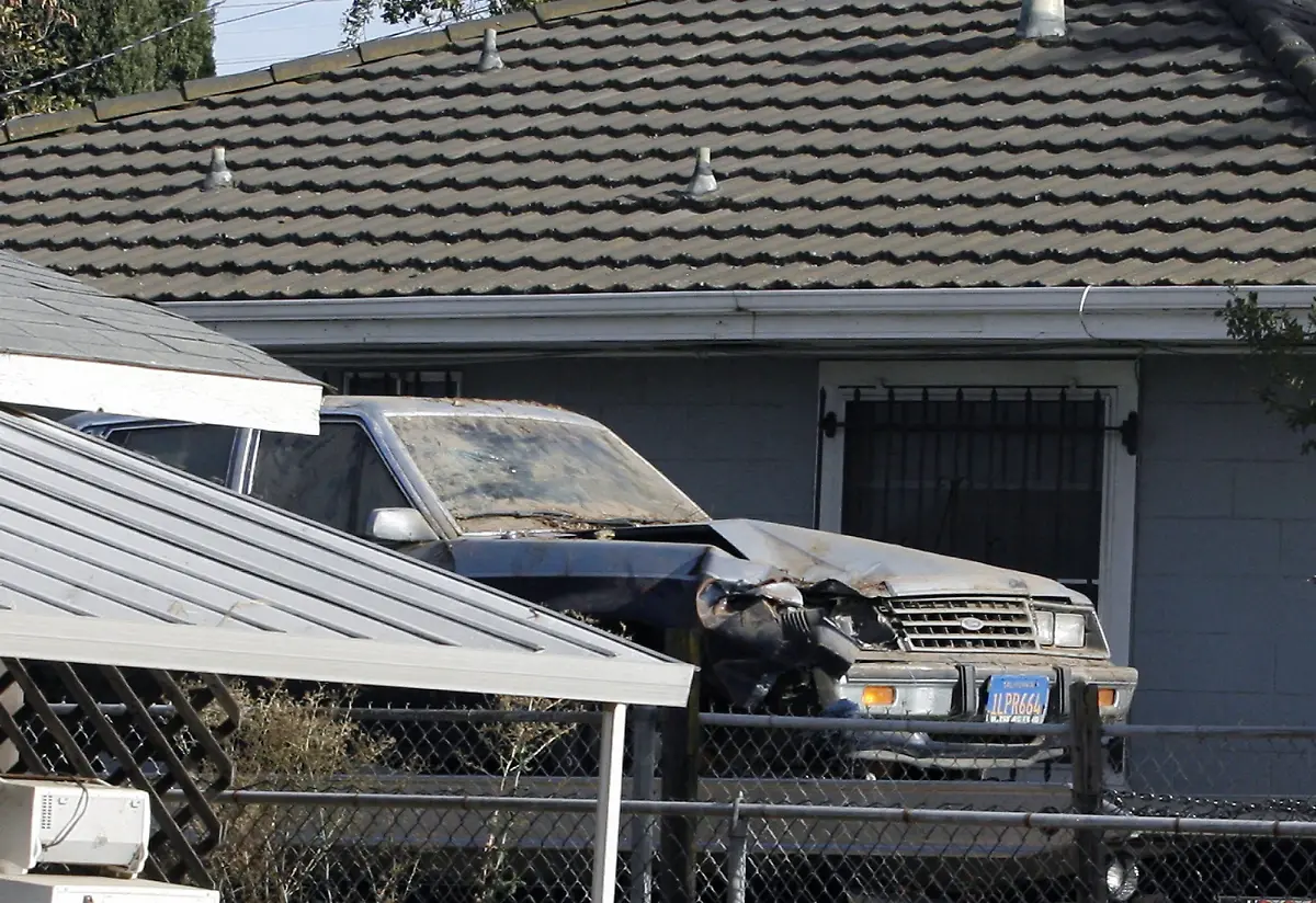 2m2v1629-jpg6987376642050875092