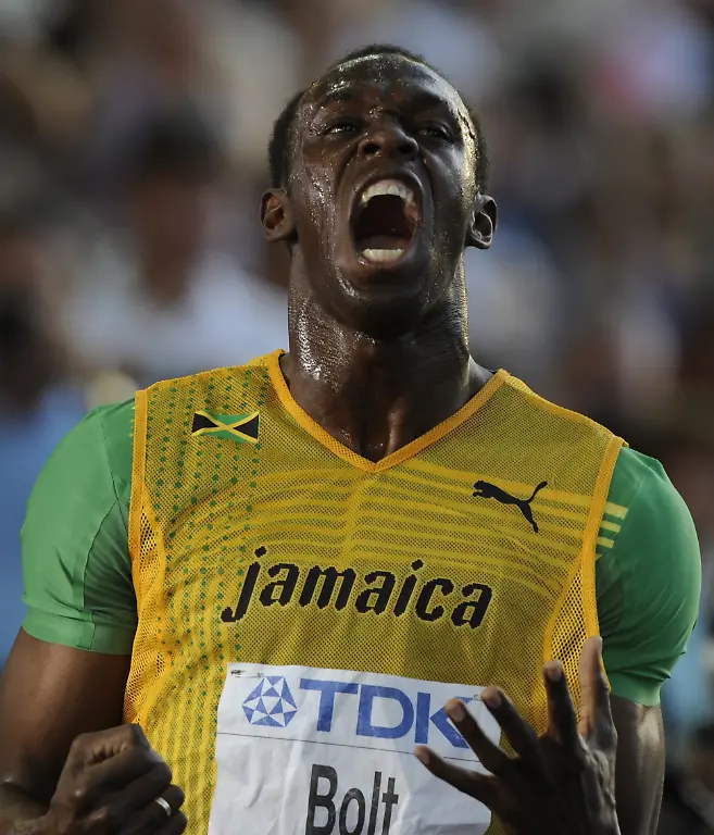 2lx84236-jpg8616109978453159580