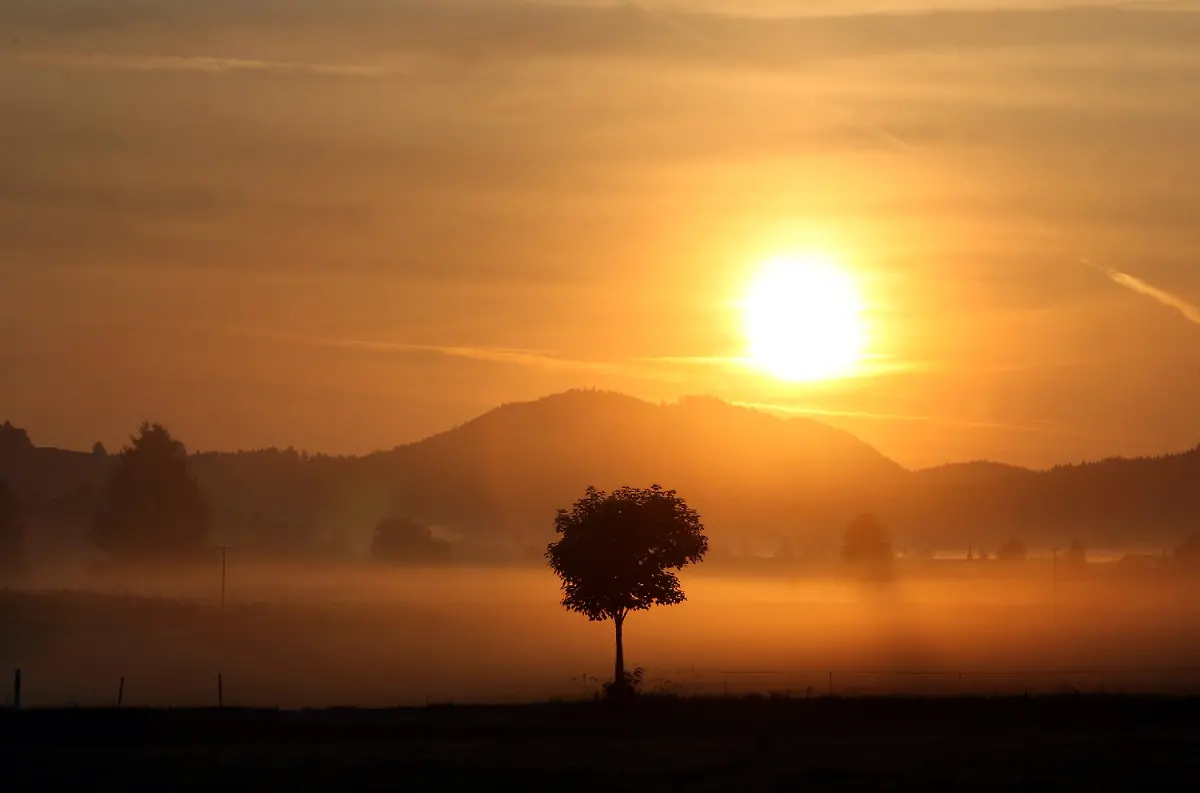 2lwz4016-jpg4593591574886177675