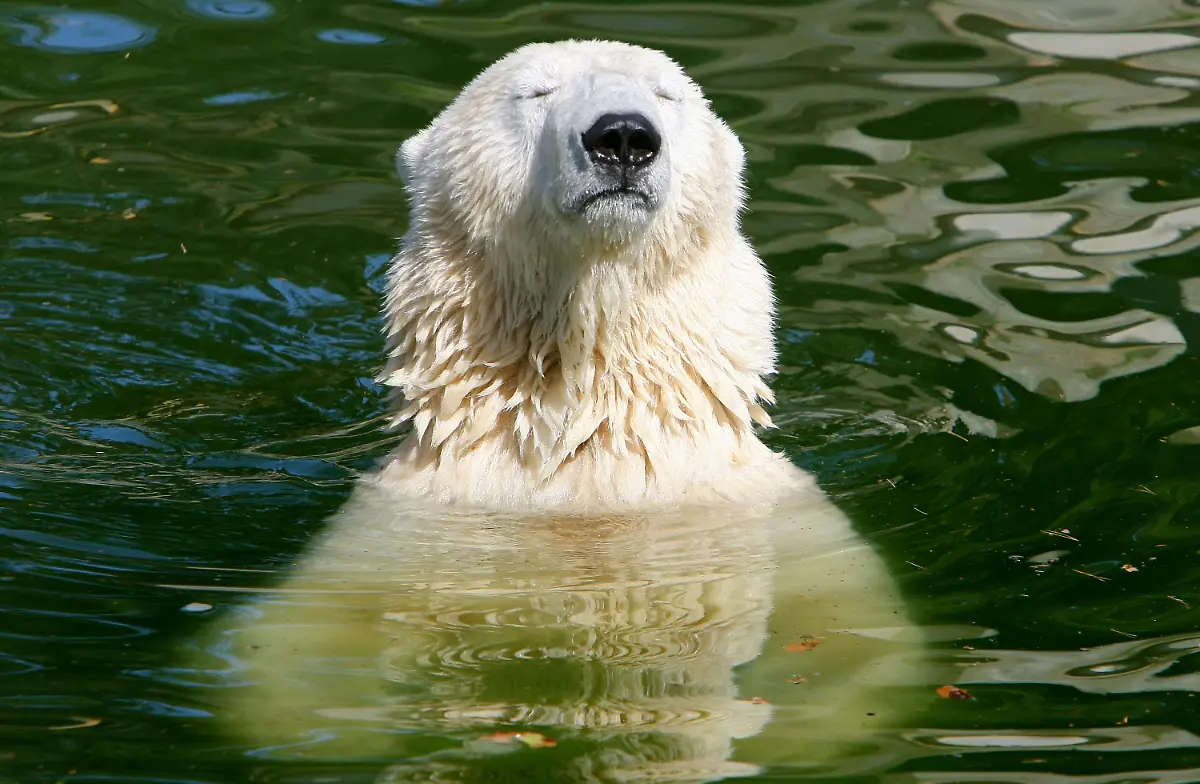 2lx15928-jpg6171776955697583976