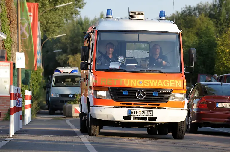 2lwk1628-jpg6353552230803983712