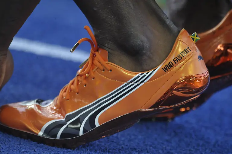 2lv80117-jpg910513578379751658