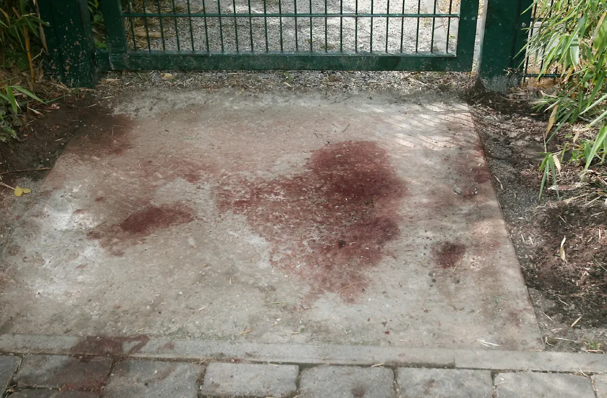 2lto0720-jpg2417906294323529766