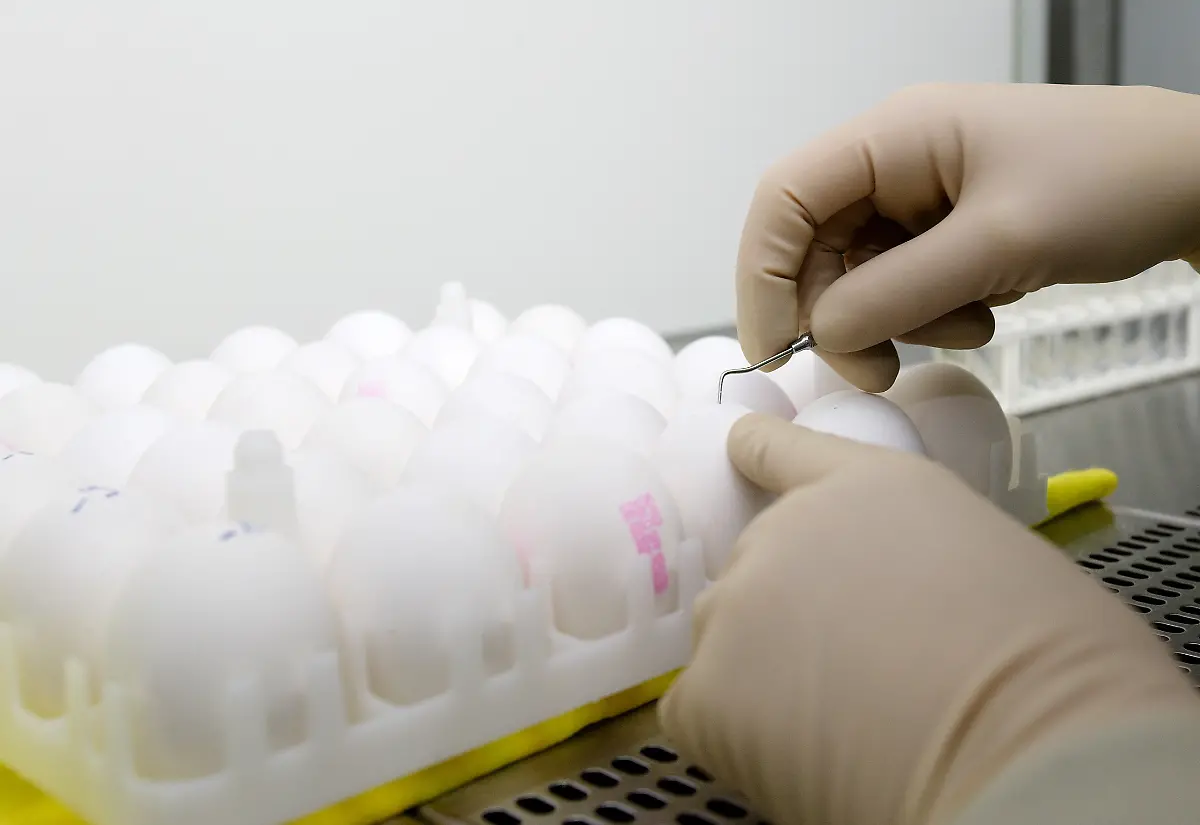 BER88-FLU-RELENZA-0723-03-JPG8800099907055840401