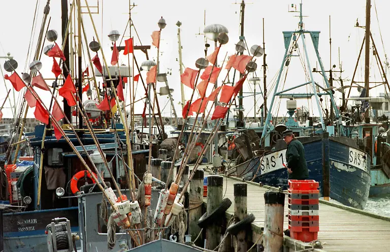 fischkutter-Sassnitz