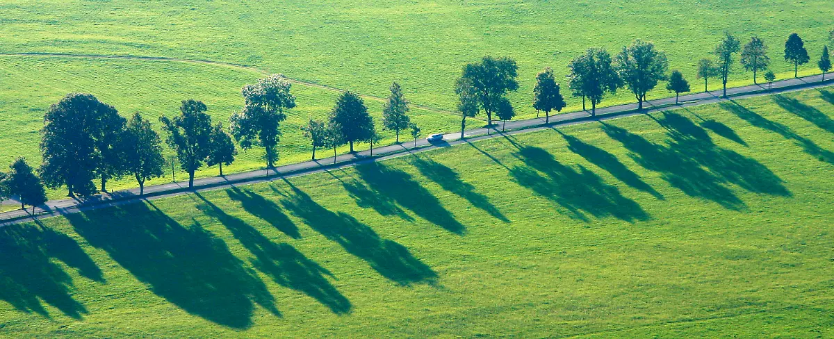 Deutsche-Alleenstrasse-Schwangau-bayern