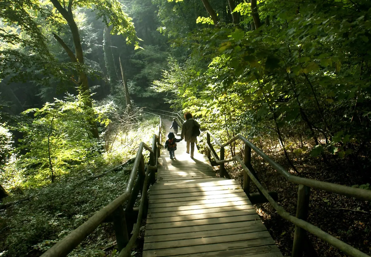 Kreidefelsen-Koenigsstuhl
