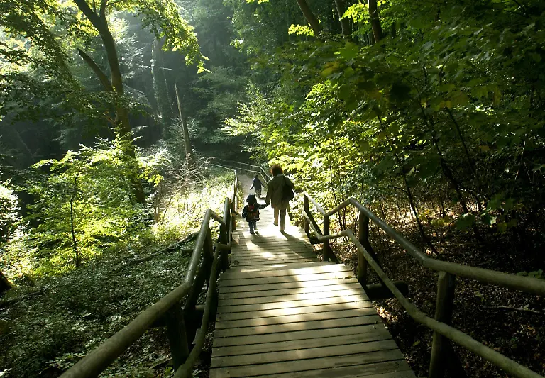Kreidefelsen-Koenigsstuhl