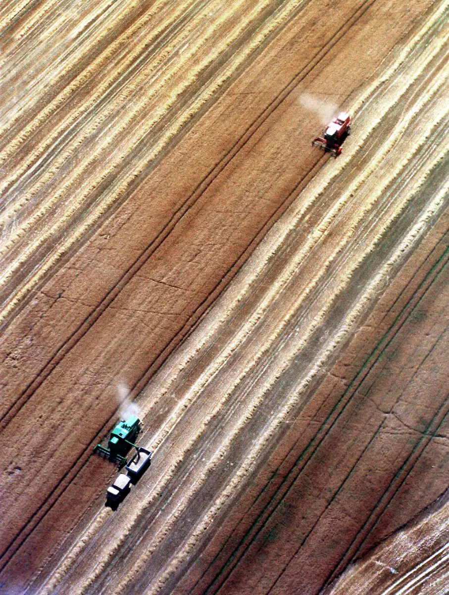 getreideernte-Ruegen