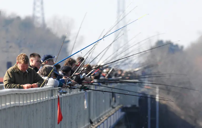 angler-ruegenbruecke