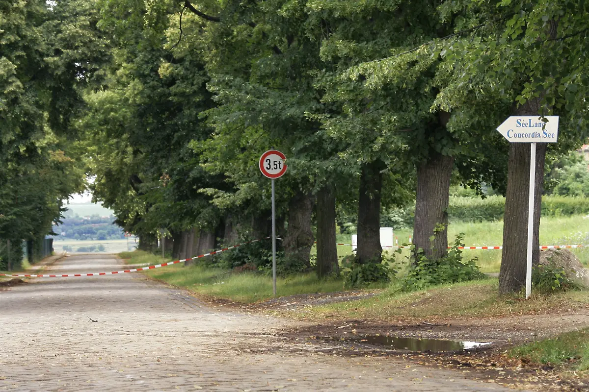 2lce4240-jpg9043813060679826008